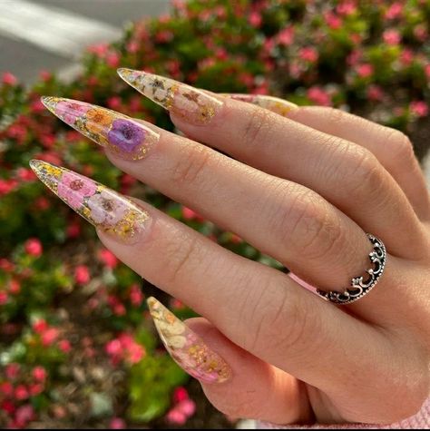 Blush Nails, Paws And Claws, Nail Fashion, Wedding Aesthetic, Pretty Acrylic Nails, Floral Nails, Nails Ideas, Stylish Girl, How To Do Nails