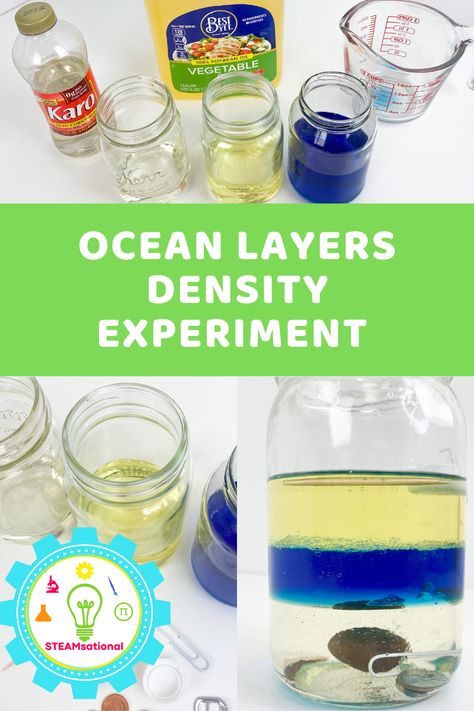 Miracles Of Jesus Crafts, Ocean Science Experiments, Ocean Layers, Easy Science Fair Projects, Density Experiment, Elementary Science Fair Projects, Free Educational Websites, Layers Of The Ocean, Science Demonstrations