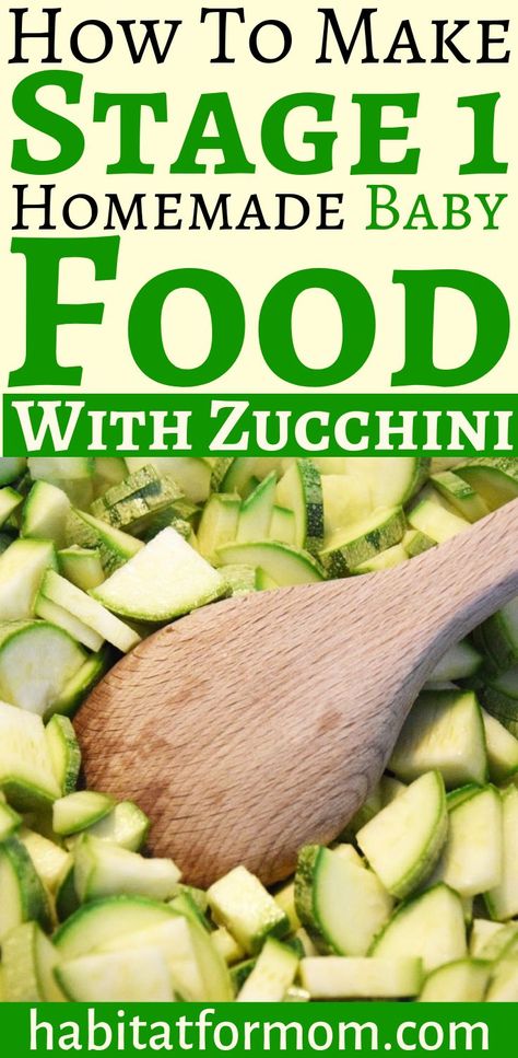 How to make stage 1 homemade baby food with Zucchini! Baby food recipes homemade | DIY baby food recipes | Parenting hacks. #babyfoodrecipes #homemade #habitatformom Zucchini Puree Baby Food, Food With Zucchini, Zucchini Baby Food Recipes, Diy Baby Food Recipes, Zucchini Baby Food, Freezer Baby Food, Combo Feeding, Introducing Baby Food, Pumpkin Baby Food