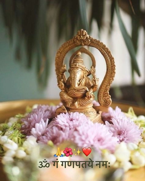 Happy Ganesh Chaturthi! 🌺🙏 May the blessings of Ganpati Bappa bring peace to your home and joy to your heart. Happy Ganpati Chaturthi, Ganesh Chaturthi Wishes In Marathi, Wishes Ganesh Chaturthi, Ganesh Chavithi Wishes, Shadu Mati Ganpati Murti, Happy Ganesh, Happy Ganesh Chaturthi, Ganpati Bappa, Ganesh Chaturthi