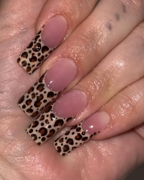 I’m living for cheetah print #Bling #blingnails #blingbling #dfw #dfwnails #dfwnailtech #trend #viralnails #viral #acrylic #acrylicnails #instagram #nailsofinstagram #nailsoftheweek #explore #explorepage #exploremore #nailsdesign #nailsonfleek #nailstagram #nailsoftheday #nailsdid #nailtrend #nailsart #blingfrenchies #photooftheday #ig #nailartshoutoutt #nailmeme #nailaddict Cheetah Print Acrylics, Glitter Cheetah Nails, Leopard Limo, Cheetah Nails, Print Trends, Bling Nails, Nails On Fleek, Nail Trends, Nail Tech