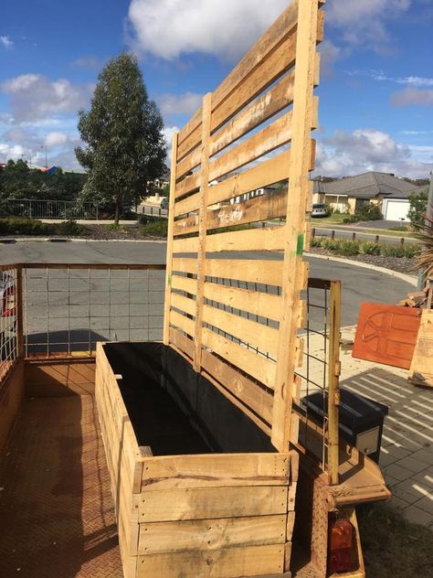 Privacy screen planter box | Bunnings Workshop community Garden Partition, Wood Pallet Fence, Screening Ideas, Timber Planters, Driveway Patio, Privacy Planter, Outdoor Pallet Projects, Pallet Projects Garden, Outdoor Pallet