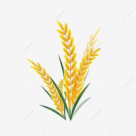 golden wheat illustration vector element Wheat Illustration, Stem Biology, Wheat Vector, Golden Wheat, Illustration Vector, Clipart Images, Png Clipart, Vector Graphics, Png Image