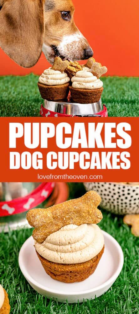 Pupcakes Dog Cupcakes • Love From The Oven Spoiled Dog Cake, Pupcakes Dog, Cupcakes For Dogs Recipe, Dog Birthday Cupcakes, Pup Cakes, Pupcake Recipe, Puppy Cupcakes, Dog Cake Recipes, Pet Cafe