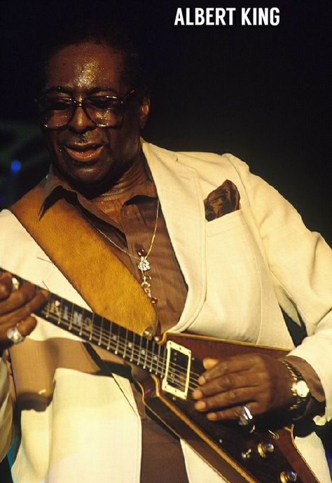 Albert King Blues, Freddie King, Thomas Pynchon, Albert King, True Roots, Buddy Guy, Bb King, Blues Musicians, Blues Artists