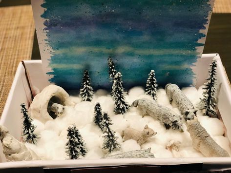 Kindergarten project Arctic Fox School Project, Arctic Wolf Diorama, Arctic Fox Project, Wolf Habitat Diorama, Artic Diorama, Diorama Arctic, Polar Diorama, Fox Habitat, Habitat Project