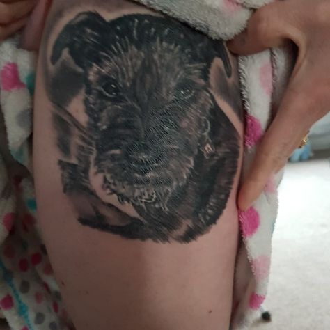 This is our patterdale terrier that my wife has tattooed on her Patterdale Terrier Tattoo, Patterdale Terrier, This Is Us, Tattoos, Animals