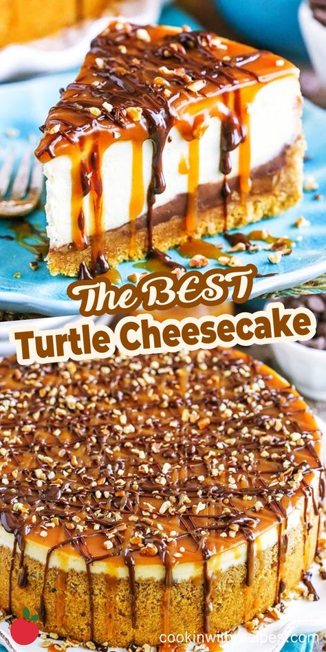 Turtle Cheesecake Recipe Easy, Cheesecake Recipe With Sour Cream, Cheesecake Turtle, Turtle Cheesecake Bars, Turtle Cheesecake Recipe, Cheesecake Recipe Easy, Recipe With Sour Cream, Turtle Cheesecake Recipes, Turtle Cheesecake