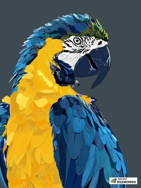 Parrot bird