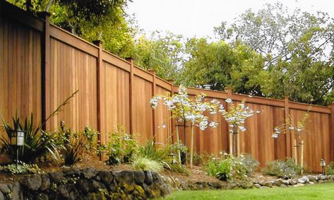 Good Neighbor Fence Installation and Repair Marin | Clough Construction Wooden Garden Decor, Good Neighbor Fence, Privacy Fence Landscaping, Wood Fence Design, Landscape Curbing, Fence Installation, Front Fence, Timber Fencing, Fence Styles