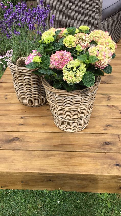 Wicker Basket Flowers, Basket Flowers, Wicker Basket, Vow Renewal, Wicker Baskets, Decorative Wicker Basket, Hydrangea, Outdoor Gardens, Outdoor Living