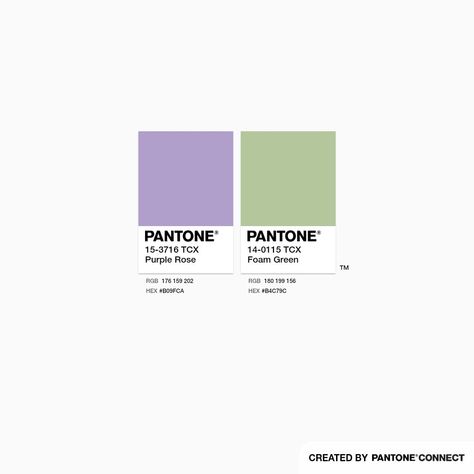 Purple Rose & Foam Green Light Green And Purple Color Palette, Purple And Green Colour Scheme, Purple And Green Branding Board, Green And Purple Pallete, Lavender Color Combo, Green And Lilac Aesthetic, Purple Green Aesthetic Pastel, Purple Green Colour Palette, Matcha Green Color Palette