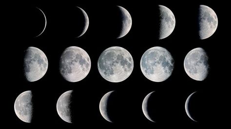 Space savvy? Take our Moon Quiz! - CSIROscope Moon Stages, Basal Body Temperature, Tata Surya, Moon Orbit, Cycle Syncing, Food Chart, Balance Hormones Naturally, Natural Hormones, Shape Templates