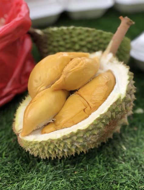 Durian Crepe, Buah Durian Aesthetic, Durian Shop Design, Durian Wallpaper, Durian Aesthetic, Durian Recipe Desserts, Durian Tree, Durian Montong, Soft Serve