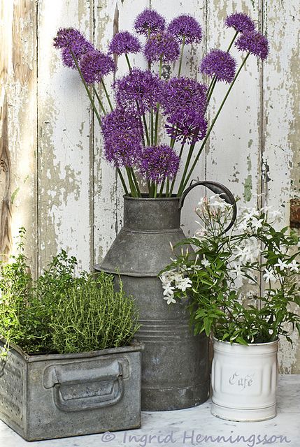 Sweetly Scented Zinc and Enamel | Flickr - Photo Sharing! Taman Vintage, Best Front Doors, Porch Planters, Have Inspiration, Front Porch Decorating, Porch Design, Deco Floral, Cool Ideas, Flowers Garden