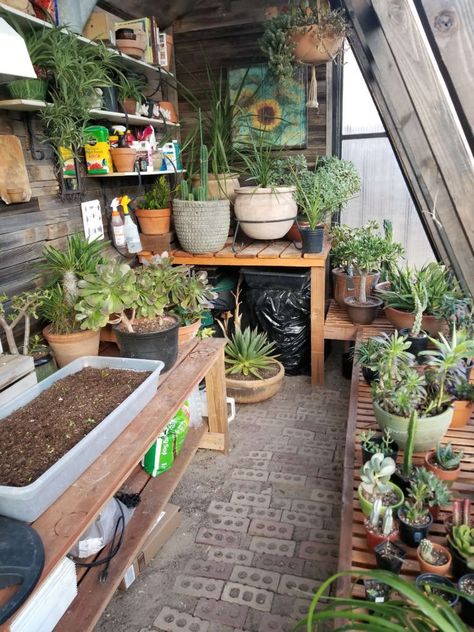 Passive Heat Diy Outside Greenhouse, House Plant Greenhouse, Diy Greenhouse Shed, Decorating Greenhouse, Garden Shed With Greenhouse, Greenhouse Decorating Ideas, Greenhouse Set Up Inside, Greenhouse Decoration, Green House Diy