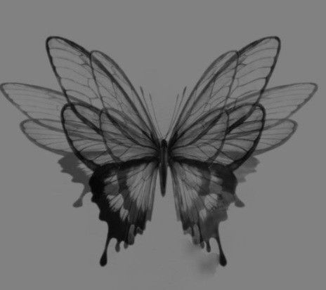 Black And White Butterfly, 심플한 그림, Image Nature, Butterfly Effect, Aesthetic Tattoo, White Butterfly, Tattoo Design Drawings, Butterfly Wallpaper, Creative Tattoos