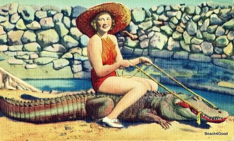 Retro Girl on Alligator Canvas, bedroom wall art canvas 12x20, Beach Decor Coastal Bedroom Decor, living room wall art, Beach Home Art ideas Vintage Beach Decor, Alligators Art, Coastal Gallery Wall, Coastal Pictures, Beach Theme Bathroom, Florida Art, Umbrella Art, Retro Girls, Old Florida