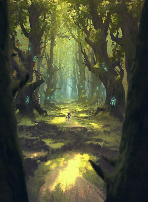 Game Environment Concept Art, Mtg Art, Game Environment, Image Painting, Fantasy Forest, Fantasy Places, Forest Art, Magic Art, Wizards Of The Coast