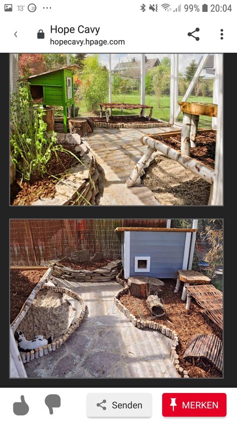 Natural Rabbit Enclosure, Rabbit Shelter Outdoor Diy, Rabbit Habitat Outdoor, Rabbit Outdoor Habitat, Bunny Enclosure Outdoor, Outdoor Bunny Habitat, Rabbit House Outdoor, Outdoor Rabbit Enclosure, Bunny Habitat