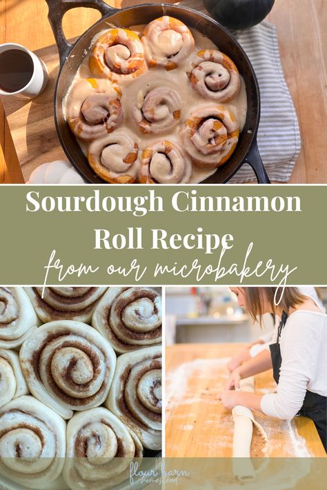 Sourdough cinnamon rolls are soft, gooey and delicious. Whether you are new to sourdough baking or have been nursing a starter for years, this is one of my favorite sourdough recipes. Easy sourdough cinnamon rolls are made from a beautiful, naturally leavened brioche. Add cinnamon and brown sugar and roll it all up for the perfect cozy breakfast that will make your house smell amazing! Sourdough Cinnamon Rolls overnight recipe. Sourdough discard cinnamon roll recipe. Sourdough Brioche Cinnamon Rolls, Easy Sourdough Discard Cinnamon Rolls, Sourdough Starter Cinnamon Rolls, Sourdough Cinnamon Rolls Overnight, Sourdough Recipes Easy, Easy Sourdough Cinnamon Rolls, Cinnamon Rolls Overnight, Discard Cinnamon Rolls, Sourdough Discard Cinnamon Rolls