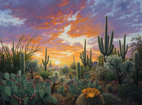 Stephen Morath, Southwest Paintings, Arizona Mountains, Paradise Pictures, Cactus Paintings, Arizona Landscape, Desert Photography, Desert Vibes, Desert Art