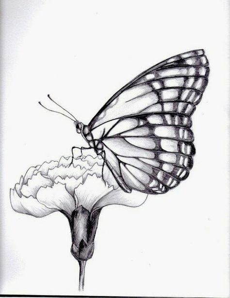 Nice. Easy Butterfly Drawing, Butterfly On Flower, Butterfly Sketch, Art Papillon, Flower Step By Step, Drawing Hands, Flower Drawing Tutorials, Flower Sketches, Buku Skrap