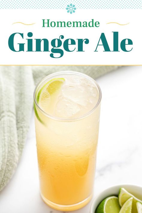 Homemade Ginger Ale Gingerale Recipes, Homemade Ginger Beer Recipe, Home Made Ginger Beer, Making Ginger Ale, Mocktail Recipe Ginger Beer, Homemade Ginger Ale Healthy, Ginger Drinks, Ginger Ale Recipe, Ginger Soda