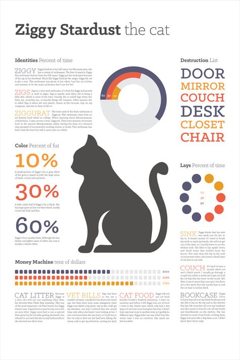 An infographic about crazy cat stuff! | Rover Company Blog New Cat Owner, Cat Infographic, Money Machine, Lots Of Cats, Pet Cats, New Cat, Cat Facts, Cat Owner, Monthly Subscription