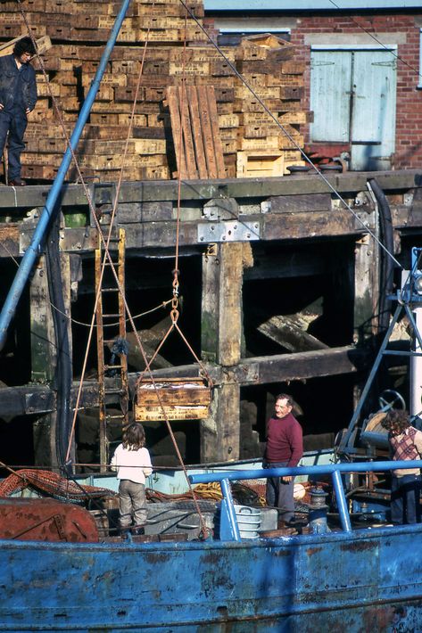 North Shields, The Catch, Our Town, Fish, Pool, House Styles