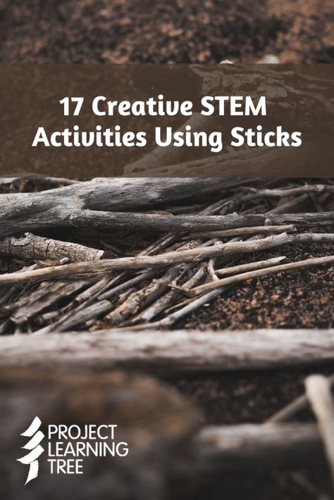 Nature Stem Activities Preschool, Not A Stick Activities, Outdoor Stem Activities For Kids, Tree Stem Activities, Indoor Recess Activities, Nature Preschool, Nature Lessons, Stem Activities Preschool, Stem Projects For Kids