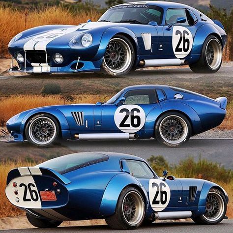 Widebody #Shelby Daytona Coupe |Follow: @allamericanwhips| :@drewphillipsphoto #MuscleCarZone Cobra Daytona Coupe, Shelby Daytona Coupe, Sports Cars Ferrari, Vintage Daytona Beach, Cobra Daytona, Gold Daytona, Shelby Daytona, 1965 Shelby Cobra, Cobra 427