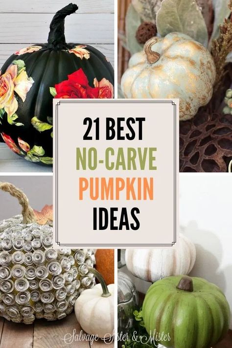 We all love a good no-carve pumpkin hack and these 21 DIY no-carve pumpkin ideas are some of the best out there! With fall right around the corner, it's time to start thinking about fall decorating. The easiest way to do that is to add pumpkins to your home. Get inspired by these super fun, and no-carve, DIY pumpkin ideas. DIY Halloween Decor made super easy with these unique pumpkin designs! No Carve Pumpkin Decorating Ideas, Pumpkin Decor Ideas, Decorate Pumpkins, No Carve Pumpkin, Frugal Decor, Pumpkin Decorating Ideas, No Carve Pumpkin Decorating, Easy Diy Costumes, Pumpkin Ideas