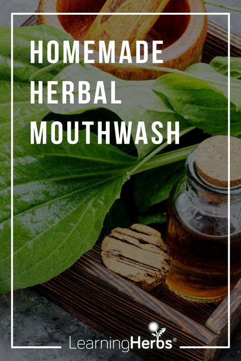 Holistic Dental Health and Homemade Mouthwash Homemade Mouthwash, Dental Floss Picks, Dental Cavities, Herbal Recipes, Herbs For Health, Oral Health Care, Healthy Teeth, Tooth Decay, Mouthwash