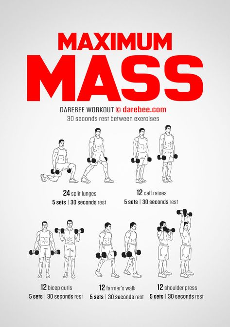 Maximum Mass Workout Dumbbells Workout, Mass Workout, Isolation Exercises, Fitness Training Plan, Farmers Walk, Full Body Dumbbell Workout, Kettlebell Exercises, Band Exercises, Bone Strength