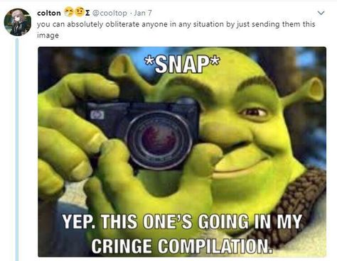 Shrek's Cringe Compilation" refers to image macros of the character Shrek taking a photograph captioned with variations of the phrase "*SNAP* Yep. This one's going in my cringe compilation." Sit On My Face Snap Stickers, Funny Snap Stickers, Snapchat Humor, Text Reactions, Snap Stickers, Meme Pics, Broken Humor, Whatsapp Stickers, Snapchat Stickers