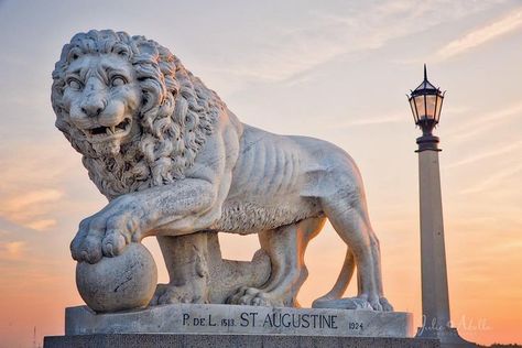 Florida's Historic Coast® Florida's Historic Coast® This is a beautifful representation of the St. Augustine spirit, strength, and determination. Do you know the names of our lions? 📷@julieabellaphotography #floridashistoriccoast #staugustine St Augustine Tattoo Ideas, Saint Augustine, I'm Still Here, St Augustine, Jacksonville Fl, Henna Tattoo, Henna, Tattoo Ideas, Photo Editing