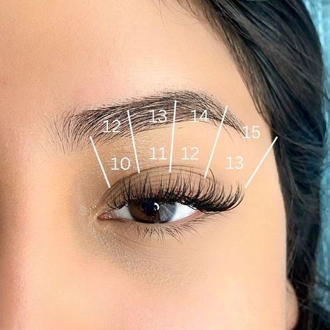 Eyelash Extension Mapping Inspo | PLA Lash Mapping Eyelash Extension Mapping, Cat Eye Lash Map, Lash Fans, Lash Map, Lash Mapping, Cat Eye Lash, Curl Lashes, For Lash, Beauty Services