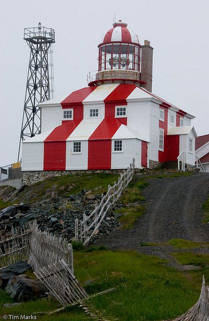 Cape Bonavista Lighthouse,  Newfoundland, Canada St John's Newfoundland, Newfoundland Lighthouses, Lighthouse Newfoundland, Canada Newfoundland, Newfoundland Travel, Canadian Road Trip, Walking Women, Kalamazoo Michigan, Newfoundland Canada