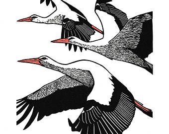 Goose Linocut, Linocut Prints Birds, Linocut Magpie, Stork Linocut, Blackbird Linocut, Hare Painting, Lino Printing, Bird Watchers, Lino Cut