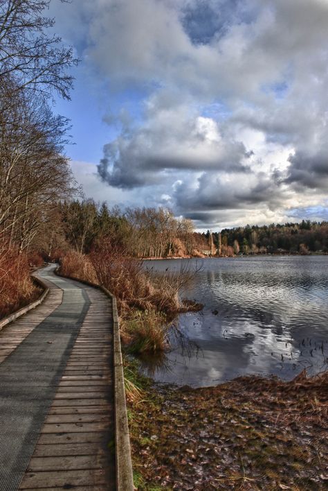 #GILOVEBC Go for a stroll around Deer Lake, Burnaby BC Pool Colors, Downtown Vancouver, O Canada, Outdoor Concert, Lake Park, Vancouver Bc, Open Air, British Columbia, Outdoor Recreation