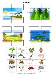 Habitat Worksheets for Kids. Science Worksheets • EasyTeaching.net Forest Worksheet, Biological Science, Animal Worksheets, Rainforest Animals, Desert Animals, Polar Animals, Teacher Templates, Kids Science, Fill In The Blank