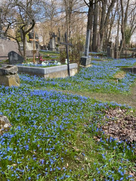 cemetery | graveyard | spring | flowers | blue cemetery | nature | aesthetic | photography | blue city | peaceful | summer | blooming | cinematic | forgotten | abandoned Cemetery Picnic, Peaceful Summer, Dream Dates, Blue City, Flowers Blue, Gothic Architecture, Nature Aesthetic, 4 Hours, Graveyard