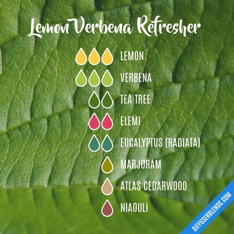 Lemon Verbena Refresher Lemon Verbena Essential Oil, Eucalyptus Radiata, Reed Diffuser Sticks, Liquid Castile Soap, Essential Oil Diffuser Blends Recipes, Essential Oil Blends Recipes, Essential Oil Diffuser Blends, Lemon Verbena, Oil Diffuser Blends