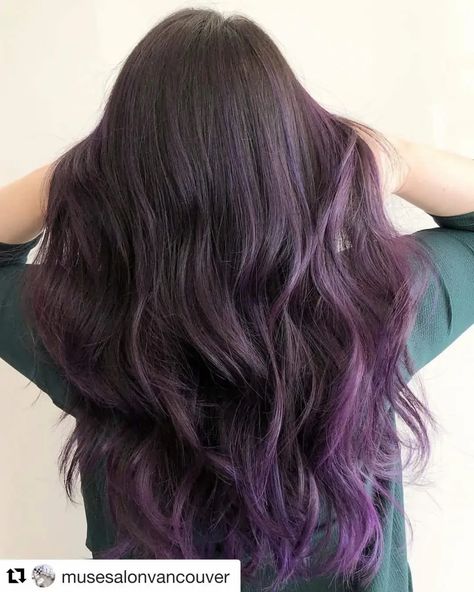 Purple Streak In Brown Hair, Brown Hair Dyed Purple, Purple Highlights In Brown Hair, Fire Haircut, Highlights In Brown Hair, Purple Highlights Brown Hair, Purple Hair Streaks, Purple Brown Hair, Purple Hair Highlights