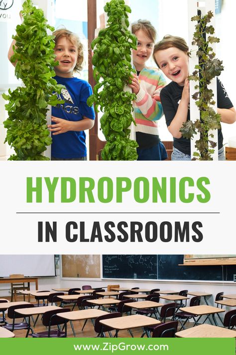 Hydroponic Systems, Hydroponic Farming, Poster Display, Hydroponics System, Hydroponic Gardening, But Why, Hydroponics, New Technology, Biology