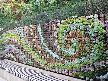 Wall Planter Ideas, Garden Landscaping Design, Green Wall Garden, Succulent Outdoor, Succulent Wall Garden, Succulent Wall Planter, Vertical Succulent Gardens, Moss Walls, Edible Gardens