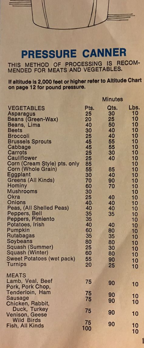 Canning Chart, Diy Canning, Pressure Canning Recipes, Canning Kitchen, Canning 101, Canning Process, Preserving Foods, Canning Fruit, Canning Pickles