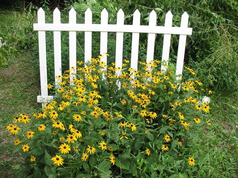 See this picture and a breakdown of the white picket fence metaphor in our blog! Picket Fence Panels, Cow Pasture, Green Fence, Garden Fence Panels, Fencing Ideas, Picture Props, Horizontal Fence, Lattice Fence, Types Of Fences