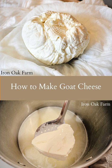 goat cheese, ladling curds, goat milk How To Make Goat Cheese, Trimming Goat Hooves, Make Goat Cheese, Homemade Goat Cheese, Feeding Goats, Goat Herding, Goat Cheese Recipes, Goat Kidding, Raising Goats